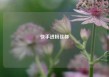 快手进粉丝群