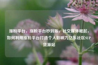 涨粉平台，涨粉平台秒到账，社交媒体崛起，如何利用涨粉平台打造个人影响力亿乐社区SUP货源站