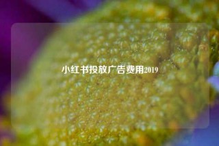 小红书投放广告费用2019