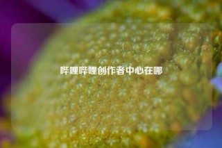 哔哩哔哩创作者中心在哪