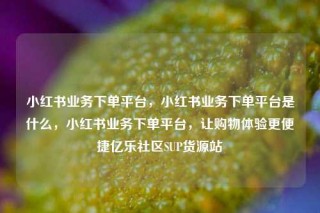 小红书业务下单平台，小红书业务下单平台是什么，小红书业务下单平台，让购物体验更便捷亿乐社区SUP货源站