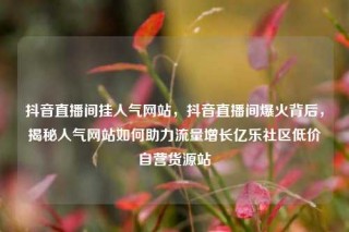 抖音直播间挂人气网站，抖音直播间爆火背后，揭秘人气网站如何助力流量增长亿乐社区低价自营货源站