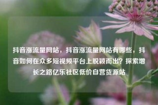 抖音涨流量网站，抖音涨流量网站有哪些，抖音如何在众多短视频平台上脱颖而出？探索增长之路亿乐社区低价自营货源站
