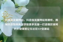 抖音涨流量网站，抖音涨流量网站有哪些，揭秘抖音如何高效获取更多流量—打造爆款视频的关键策略亿乐社区SUP货源站