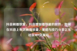 抖音刷播放量，抖音增加播放量的软件，如何在抖音上有效刷播放量，策略与技巧分享亿乐社区SUP货源站
