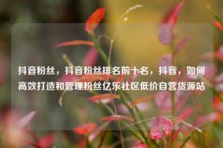 抖音粉丝，抖音粉丝排名前十名，抖音，如何高效打造和管理粉丝亿乐社区低价自营货源站
