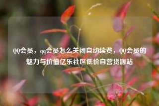 QQ会员，qq会员怎么关闭自动续费，QQ会员的魅力与价值亿乐社区低价自营货源站