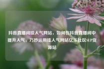 抖音直播间挂人气网站，如何在抖音直播间中提升人气，巧妙运用挂人气网站亿乐社区SUP货源站