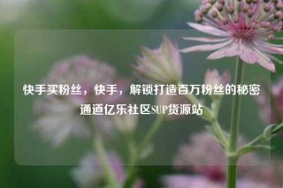 快手买粉丝，快手，解锁打造百万粉丝的秘密通道亿乐社区SUP货源站