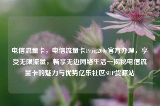 电信流量卡，电信流量卡19元200g官方办理，享受无限流量，畅享无边网络生活—揭秘电信流量卡的魅力与优势亿乐社区SUP货源站