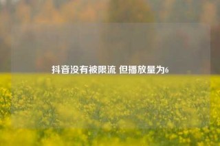 抖音没有被限流 但播放量为6