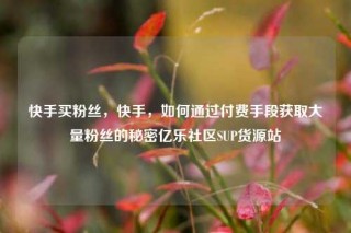快手买粉丝，快手，如何通过付费手段获取大量粉丝的秘密亿乐社区SUP货源站
