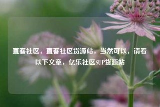 直客社区，直客社区货源站，当然可以，请看以下文章，亿乐社区SUP货源站