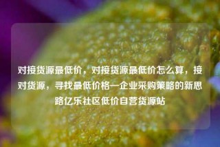 对接货源最低价，对接货源最低价怎么算，接对货源，寻找最低价格—企业采购策略的新思路亿乐社区低价自营货源站