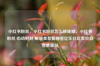 小红书粉丝，小红书粉丝怎么移除掉，小红书粉丝 心动时刻 解锁美妆新秘密亿乐社区低价自营货源站