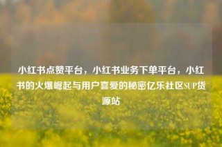 小红书点赞平台，小红书业务下单平台，小红书的火爆崛起与用户喜爱的秘密亿乐社区SUP货源站