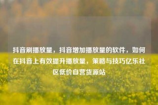 抖音刷播放量，抖音增加播放量的软件，如何在抖音上有效提升播放量，策略与技巧亿乐社区低价自营货源站