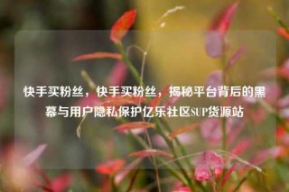 快手买粉丝，快手买粉丝，揭秘平台背后的黑幕与用户隐私保护亿乐社区SUP货源站