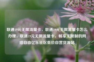联通19元无限流量卡，联通19元无限流量卡怎么办理，联通19元无限流量卡，畅享无限制的网络自由亿乐社区低价自营货源站