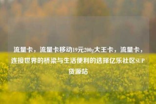 流量卡，流量卡移动19元200g大王卡，流量卡，连接世界的桥梁与生活便利的选择亿乐社区SUP货源站