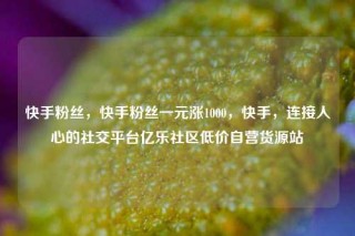 快手粉丝，快手粉丝一元涨1000，快手，连接人心的社交平台亿乐社区低价自营货源站