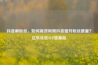 抖音刷粉丝，如何高效利用抖音提升粉丝数量？亿乐社区SUP货源站