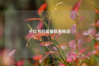 小红书的客服联系电话