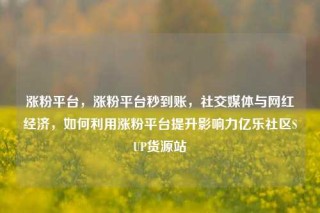 涨粉平台，涨粉平台秒到账，社交媒体与网红经济，如何利用涨粉平台提升影响力亿乐社区SUP货源站