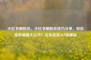 小红书刷粉丝，小红书刷粉丝技巧分享，轻松涨粉秘籍大公开！亿乐社区SUP货源站