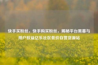 快手买粉丝，快手购买粉丝，揭秘平台黑幕与用户权益亿乐社区低价自营货源站