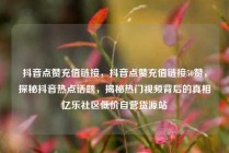 抖音点赞充值链接，抖音点赞充值链接50赞，探秘抖音热点话题，揭秘热门视频背后的真相亿乐社区低价自营货源站