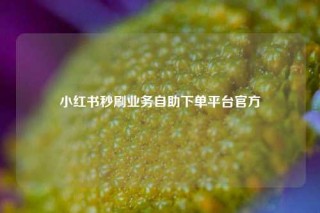 小红书秒刷业务自助下单平台官方