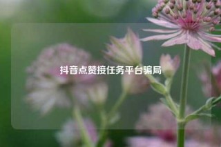 抖音点赞接任务平台骗局