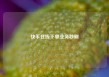快手在线下单业务秒刷