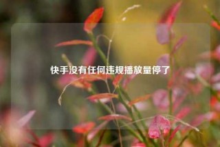 快手没有任何违规播放量停了
