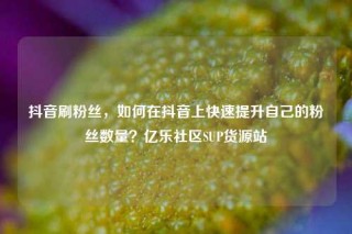 抖音刷粉丝，如何在抖音上快速提升自己的粉丝数量？亿乐社区SUP货源站