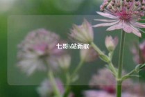 七哥b站新歌