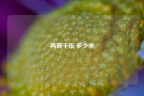两碗干饭 多少米