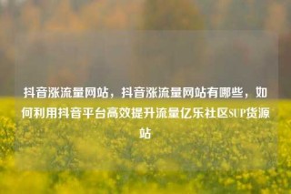 抖音涨流量网站，抖音涨流量网站有哪些，如何利用抖音平台高效提升流量亿乐社区SUP货源站