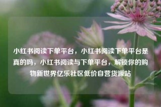 小红书阅读下单平台，小红书阅读下单平台是真的吗，小红书阅读与下单平台，解锁你的购物新世界亿乐社区低价自营货源站
