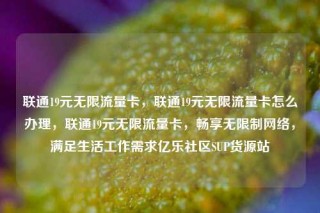 联通19元无限流量卡，联通19元无限流量卡怎么办理，联通19元无限流量卡，畅享无限制网络，满足生活工作需求亿乐社区SUP货源站