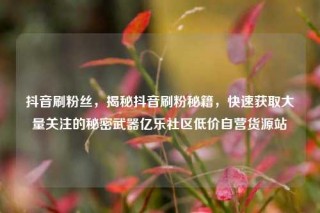 抖音刷粉丝，揭秘抖音刷粉秘籍，快速获取大量关注的秘密武器亿乐社区低价自营货源站
