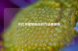 小红书增加粉丝的方法有哪些