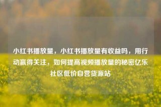 小红书播放量，小红书播放量有收益吗，用行动赢得关注，如何提高视频播放量的秘密亿乐社区低价自营货源站