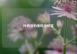 抖音涨粉黑科技软件