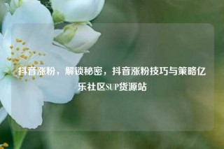 抖音涨粉，解锁秘密，抖音涨粉技巧与策略亿乐社区SUP货源站