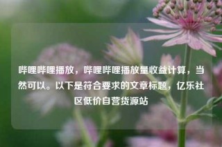 哔哩哔哩播放，哔哩哔哩播放量收益计算，当然可以。以下是符合要求的文章标题，亿乐社区低价自营货源站
