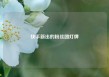 快手新出的粉丝团灯牌