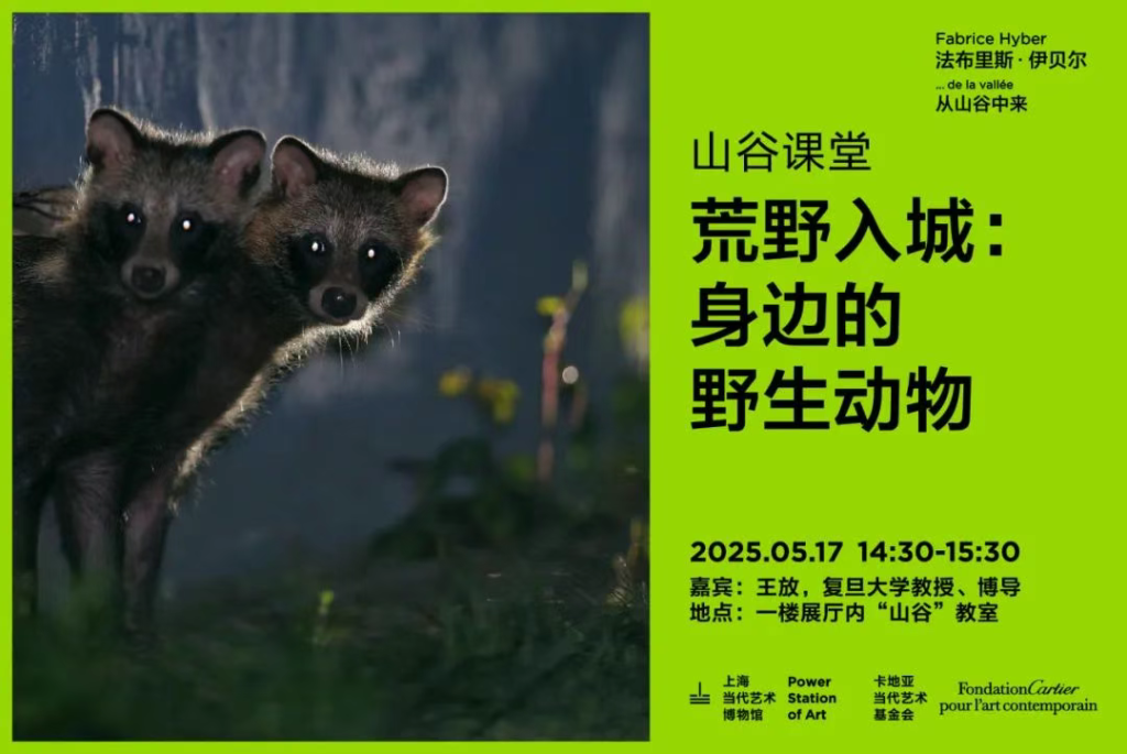 “走进书适圈	”：一周城市生活  第19张