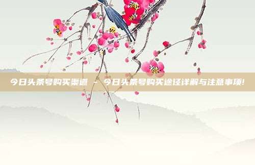 今日头条号购买渠道 - 今日头条号购买途径详解与注意事项!  第1张